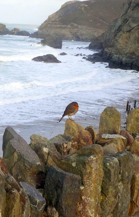 Wrens Nook Villa St Agnes  Exterior photo